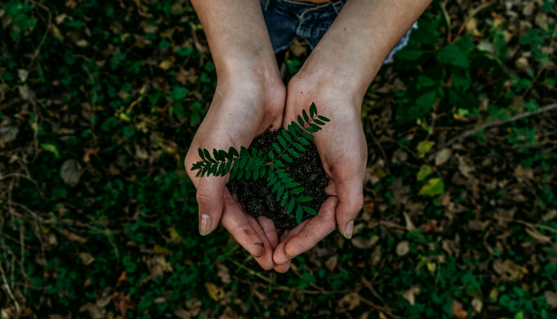 Supporting Long-term Sustainability
