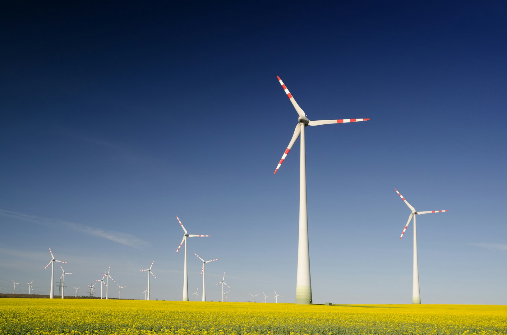 Navigating Regulatory Environments